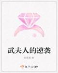 武夫人的膏药