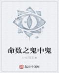 算命说的命鬼是啥