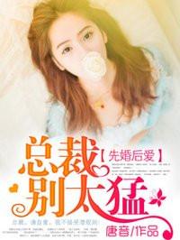 总裁别太无耻