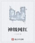 网红神算的爽文人生全文免费阅读