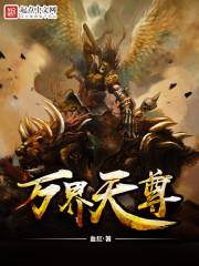 万界天尊 顶点