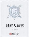 大赢家网络游戏