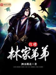 红楼之林家继子林瑆