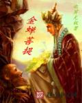 金蝉子星月菩提图片