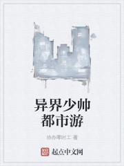 都市少帅无错版
