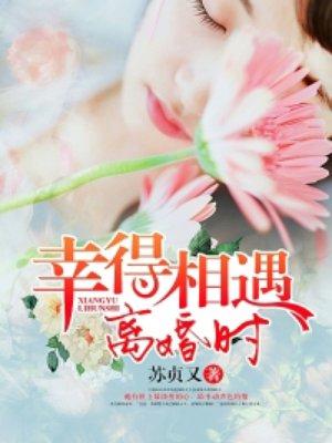 幸得相遇离婚时短剧在线观看