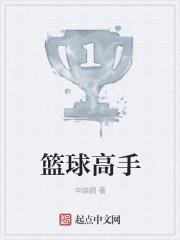 篮球高手小李作文350字
