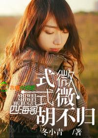 式微式微胡不归歌曲
