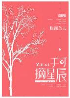 什么手可摘星辰
