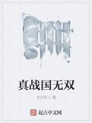 战国无双2宫本武藏武器拿法