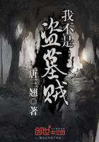 我不是盗墓贼秦风解说