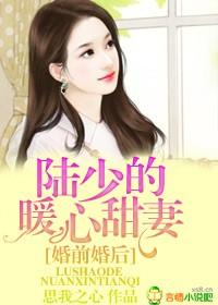 陆少的暖心甜妻 思我之心全文TxT百度