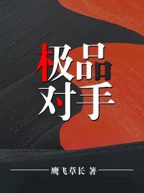 极品对手有声