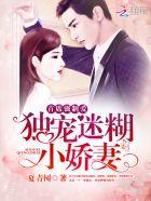 首席强制爱独宠迷糊小娇妻妻