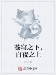 苍穹之下说的是什么
