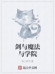 剑与魔法与学院3金手指