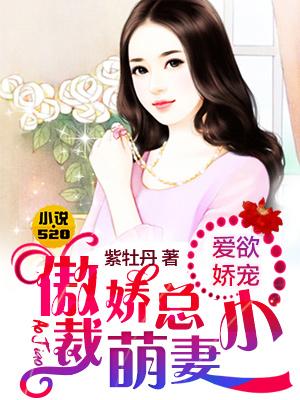 傲娇总裁爱妻别跑