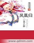 凤凰归巢1—100集免费版