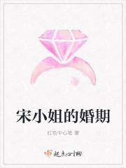 宋小姐免费阅读