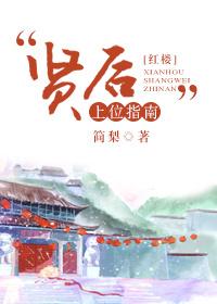 红楼之贤德妃