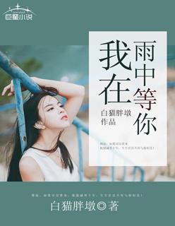 我在雨中等你什么歌